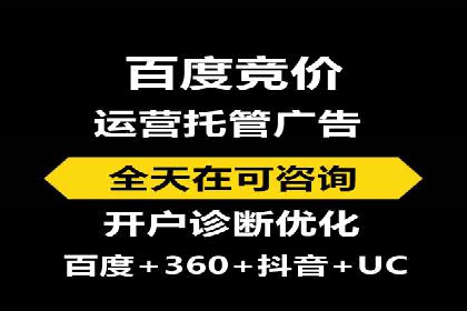 百度竞价SEM成功案例：揭秘广告投放秘诀